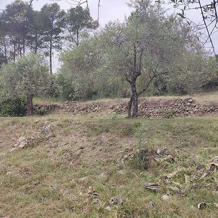 Auberge Des Esperels Rez De Maison Avec Jardin Figanières Eksteriør bilde